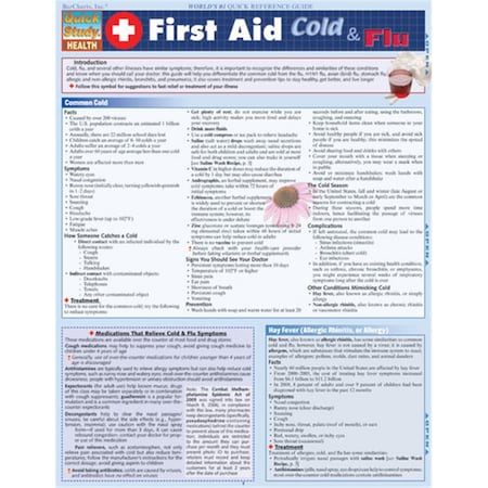 Barcharts First Aid - Cold & Flu Quickstudy Easel 9781423215028